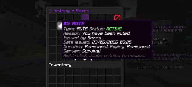 PhantomBans | Complete Moderation Suite Plugins Staff screenshot 3