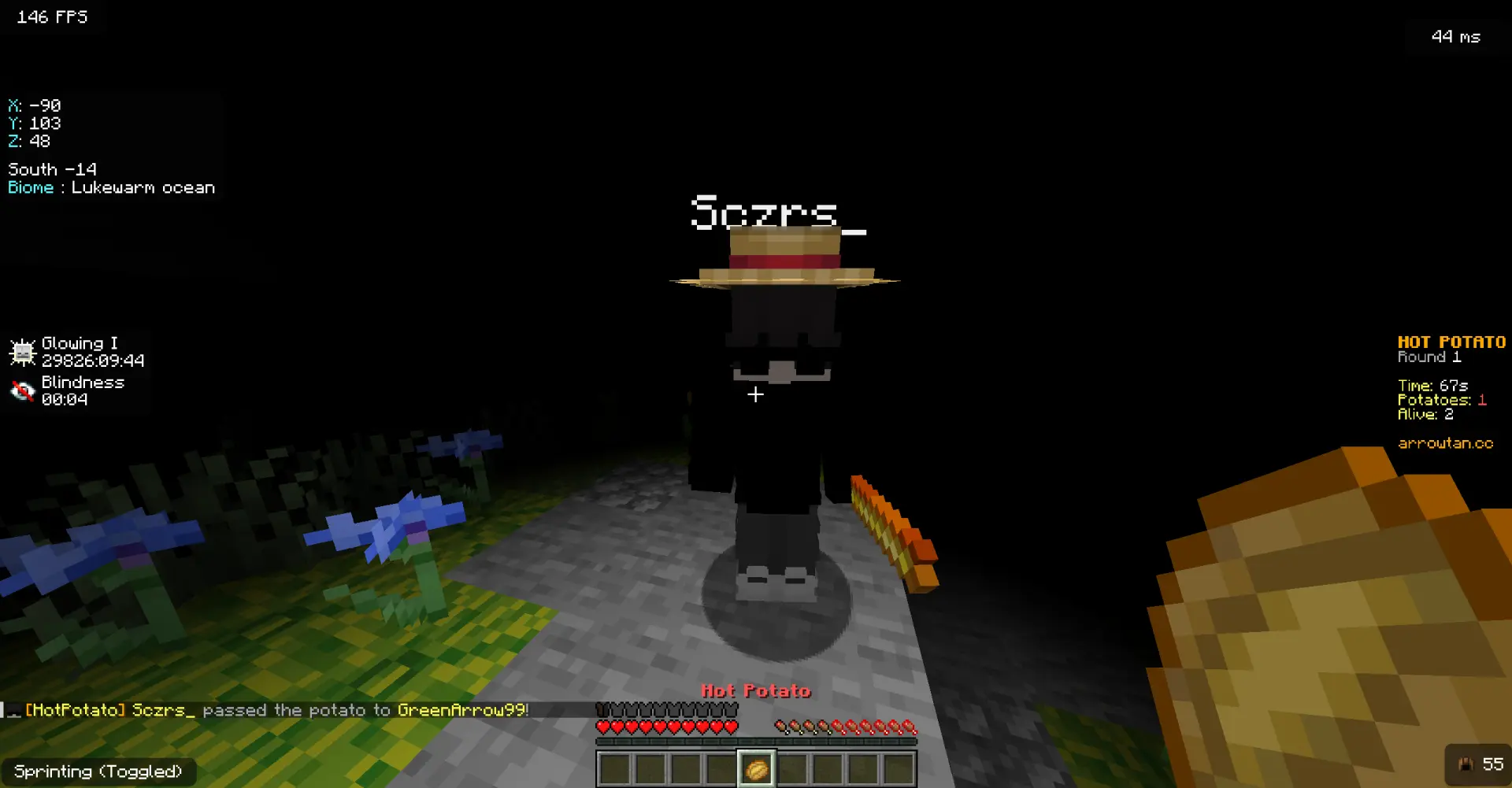 HotPotato - Round-Based Minigame Plugins Minigame screenshot 1