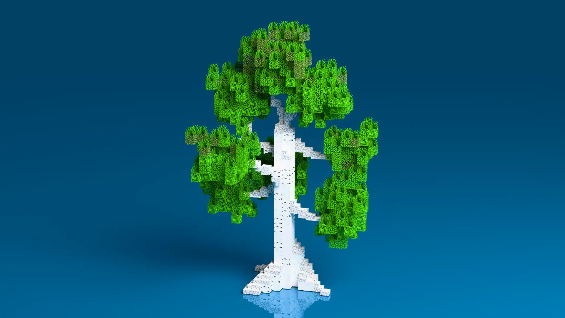 12.png