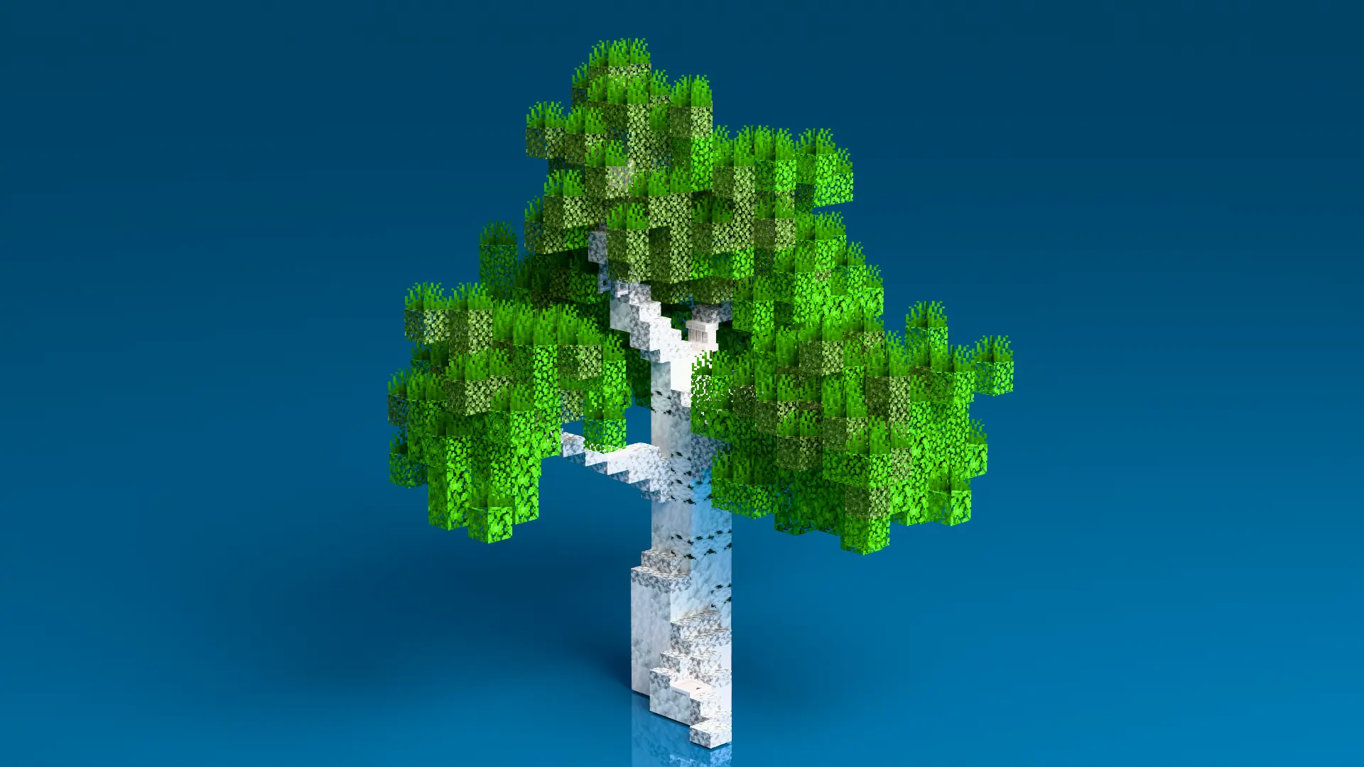 11.png