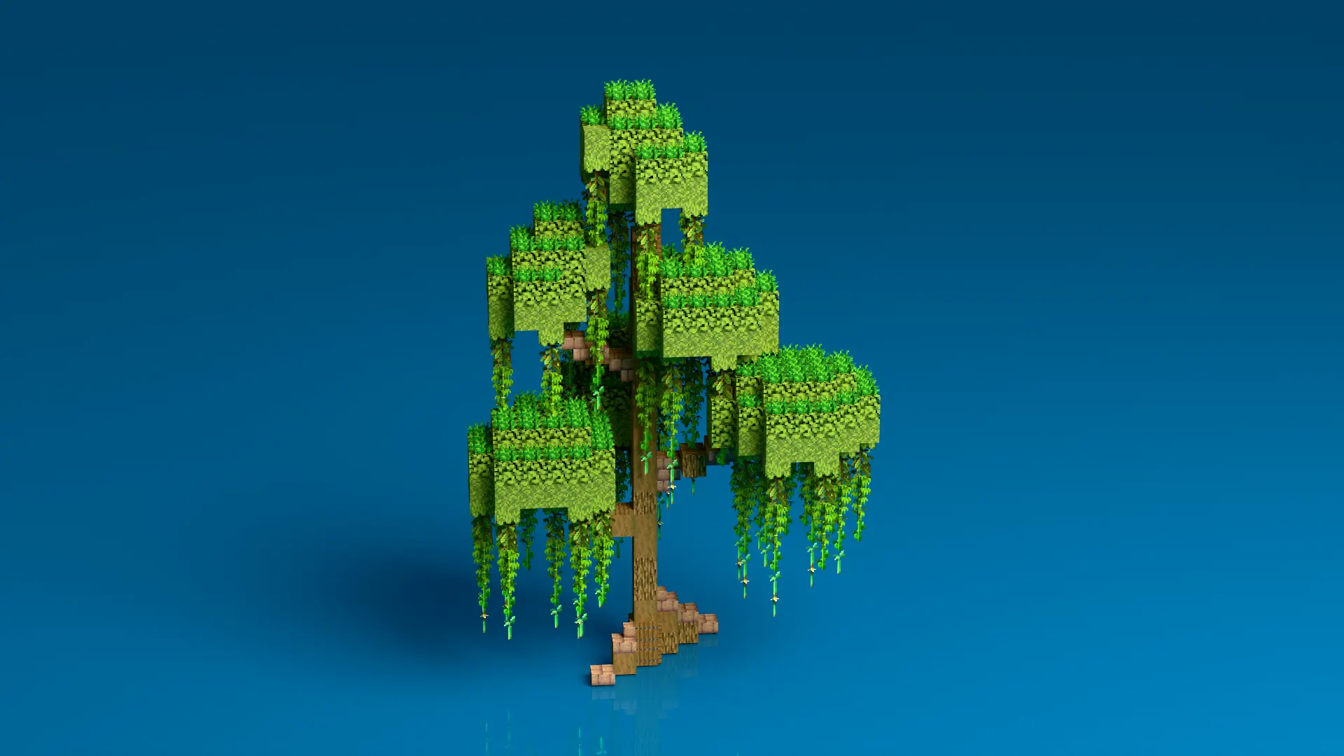 13.png