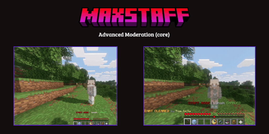 MaxStaff Plugins GUI screenshot 5