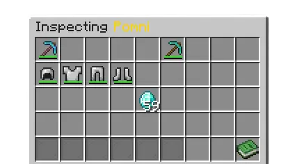 MaxStaff Plugins GUI screenshot 8