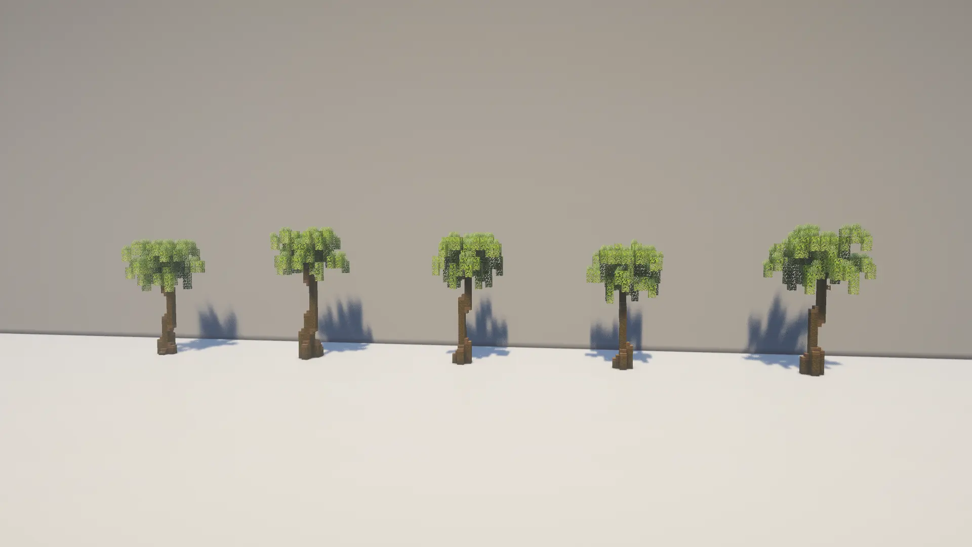 6.png