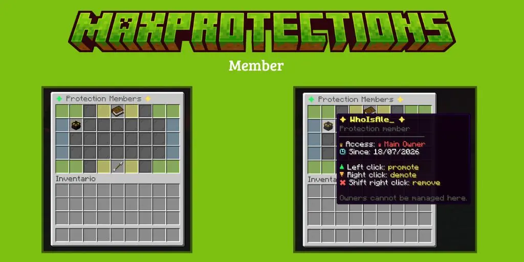 maxprotections-content-ufqoqt.webp