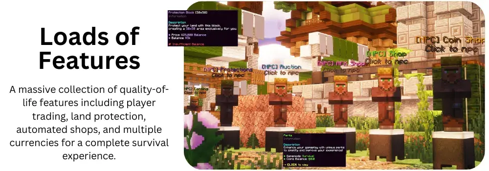 43.png