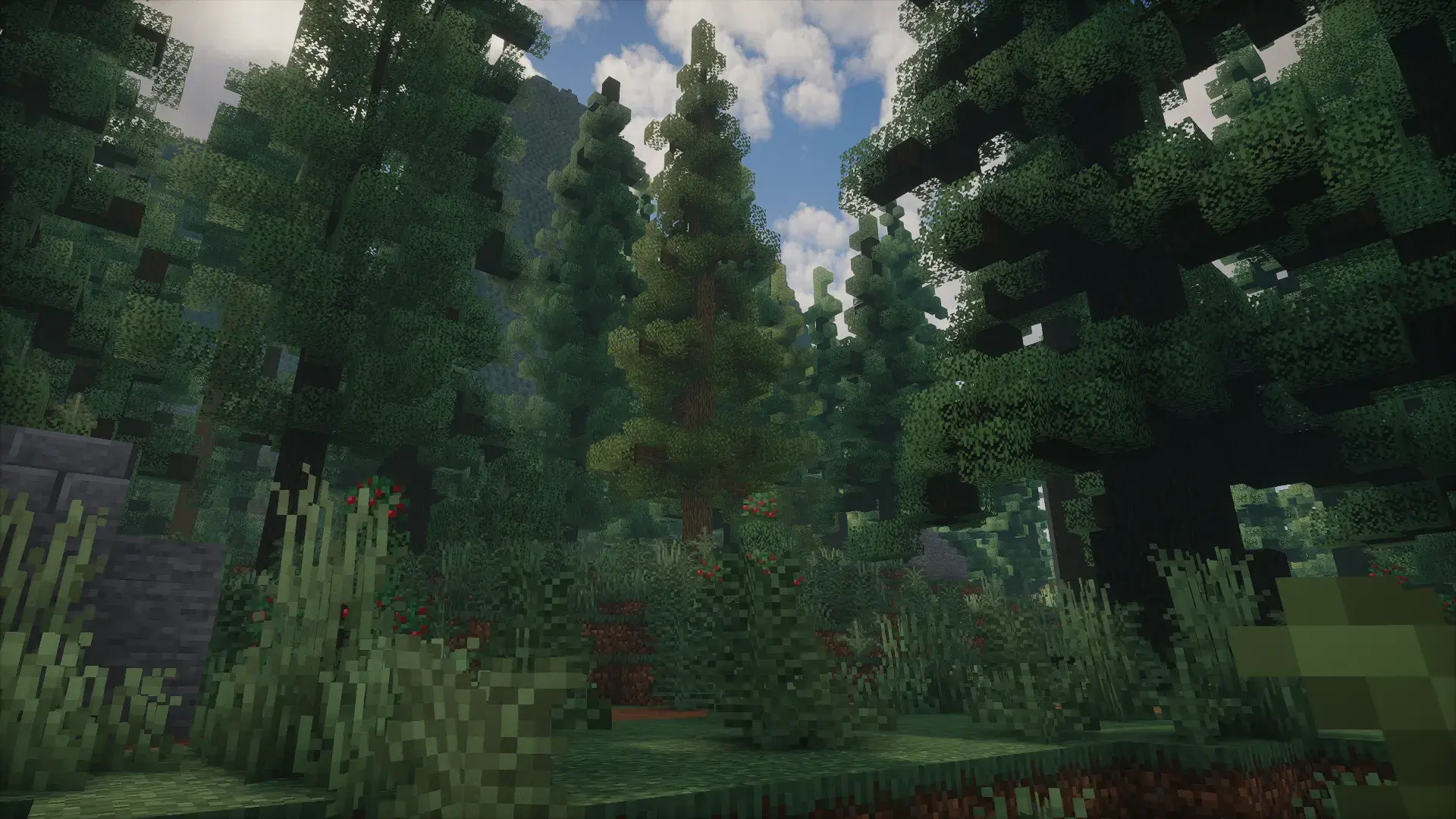 2025-10-06_03.59.48.png