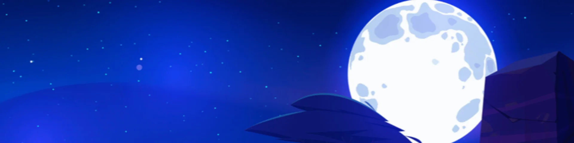 Profile Banner
